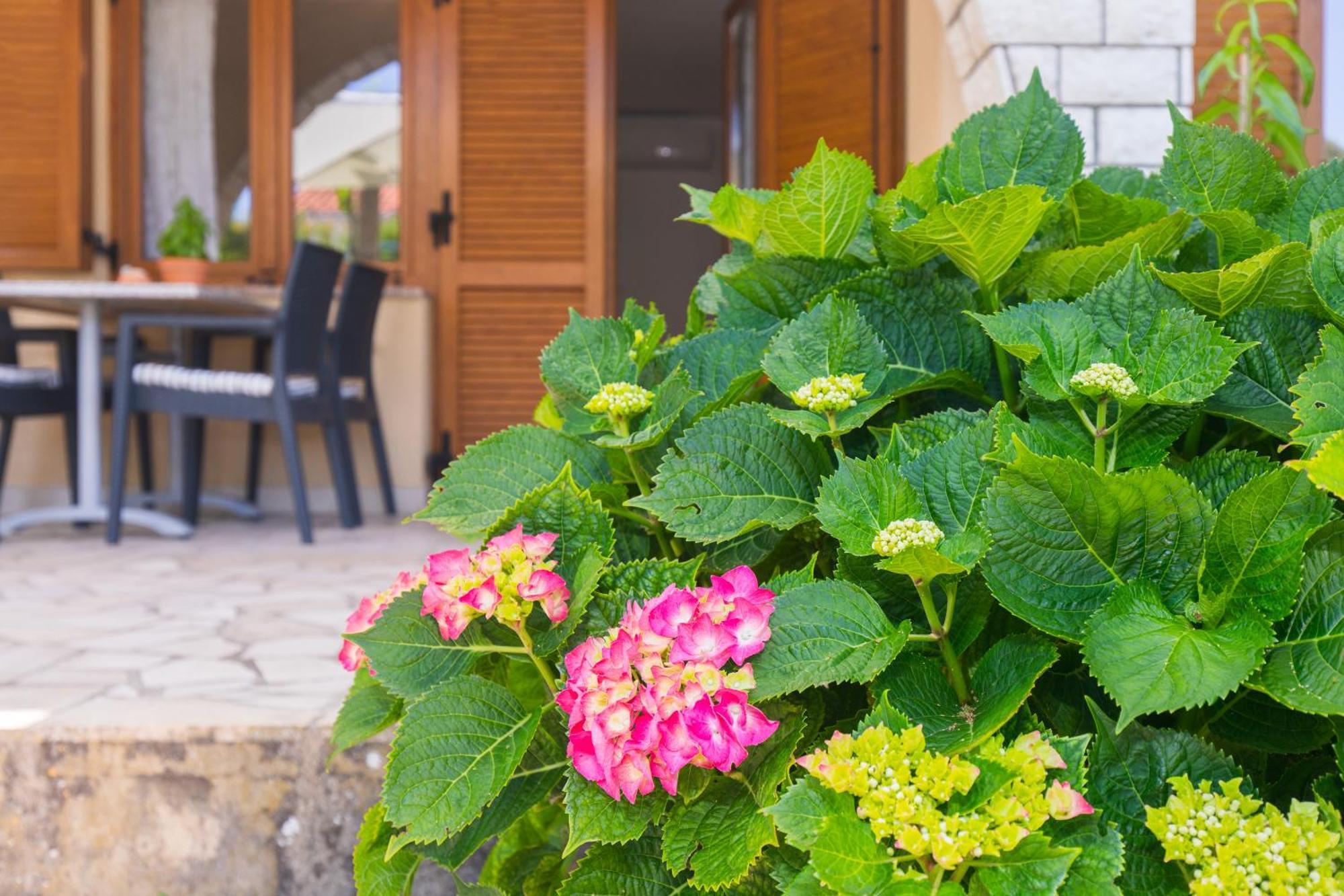 Apartmani Pina كرك المظهر الخارجي الصورة